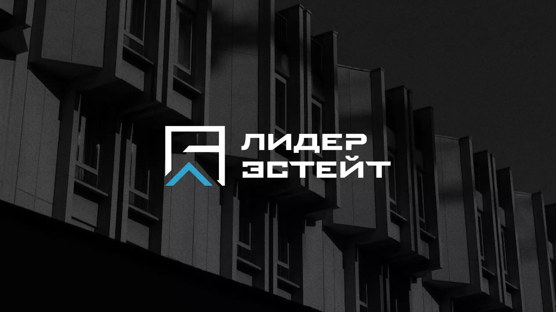 Разработка логотипа агентства недвижимости «Лидер Эстейт» в Сергиевом Посаде