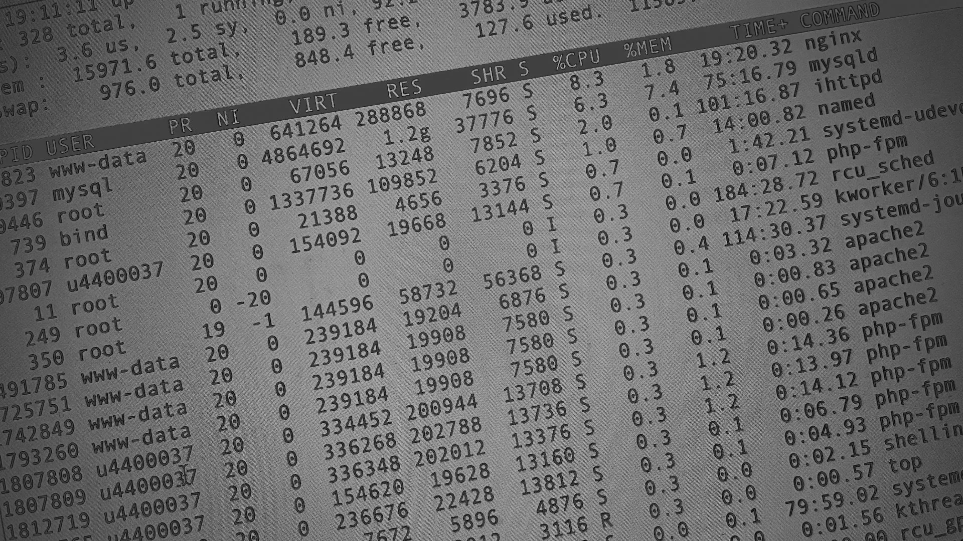 Настройка сервера в Сергиевом Посаде